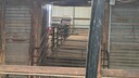 PXL_20250916_035413382~0.jpg