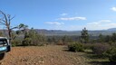 PXL_20250916_063837630_MP.jpg