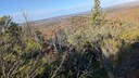 PXL_20250916_065936884_MP.jpg