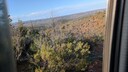 PXL_20250916_065941360_MP~0.jpg