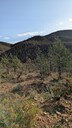 PXL_20250916_070546363~0.jpg