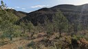 PXL_20250916_070550899~0.jpg
