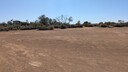 PXL_20250917_052428120~0.jpg