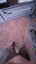 PXL_20250917_090209706~0.jpg