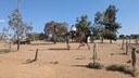 PXL_20250918_051336873~0.jpg