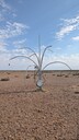 PXL_20250918_060736859_MP~0.jpg