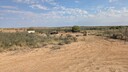 PXL_20250918_061136096_MP~0.jpg