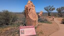 PXL_20250920_024544946~0.jpg