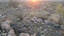 PXL_20250920_082552689_MP.jpg