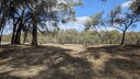 PXL_20250922_050406375~0.jpg