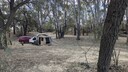 PXL_20250922_050546854_MP~0.jpg