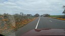 PXL_20250923_034505318_MP~0.jpg