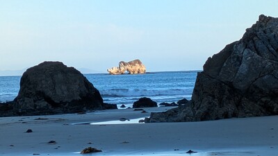 PXL_20250303_081401664.jpg