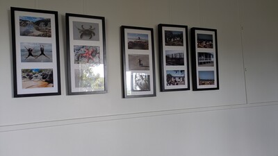 PXL_20250306_230238958_MP.jpg