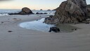 PXL_20250303_081615384.jpg