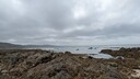 PXL_20250306_011618733_MP.jpg
