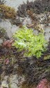 PXL_20250306_012656598_MP.jpg