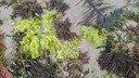PXL_20250306_012702208_MP.jpg