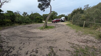 PXL_20251210_060935644.jpg