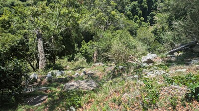 PXL_20251212_014348240.jpg
