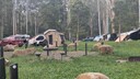 PXL_20251205_063327894.jpg