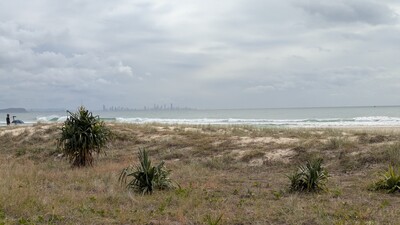 PXL_20250514_005736073.jpg