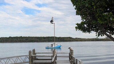PXL_20250515_232425947_MP.jpg