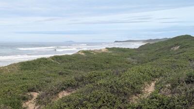 PXL_20250516_024232177.jpg