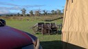 PXL_20250514_215819267_MP.jpg