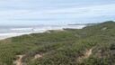 PXL_20250516_024232177.jpg