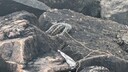 PXL_20250516_024644379_MP.jpg
