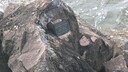 PXL_20250516_025122186_MP.jpg