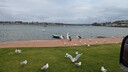 PXL_20250518_032329109.jpg