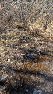 PXL_20260312_231909475~0.jpg