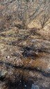 PXL_20260312_231909475~0.jpg