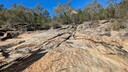 PXL_20260312_234803959~0.jpg