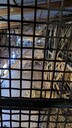PXL_20260313_004207647.jpg