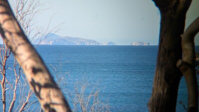PXL_20250520_004616426_MP.jpg