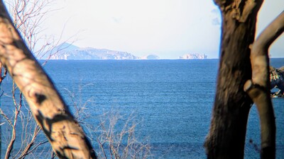 PXL_20250520_004703588_MP~3.jpg