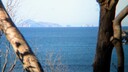 PXL_20250520_004703588_MP~2.jpg