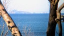PXL_20250520_004703588_MP~3.jpg