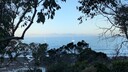 PXL_20260220_082514525.jpg