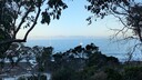 PXL_20260220_082517315.jpg