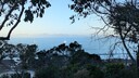 PXL_20260220_082523898.jpg