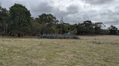 PXL_20260412_003031164_MP.jpg