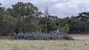 PXL_20260412_003034873_MP.jpg