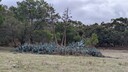 PXL_20260412_003043381.jpg