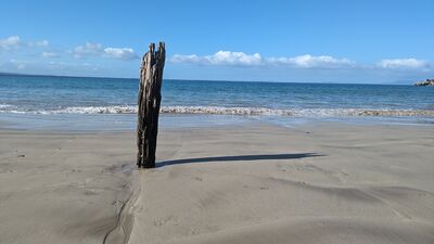 Keywords: post jettypost